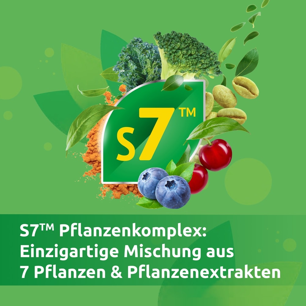 ENERGY PHYTO+