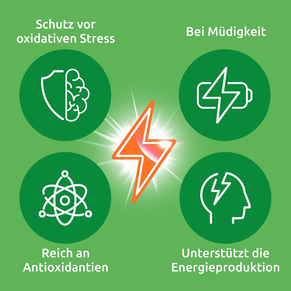 ENERGY PHYTO+
